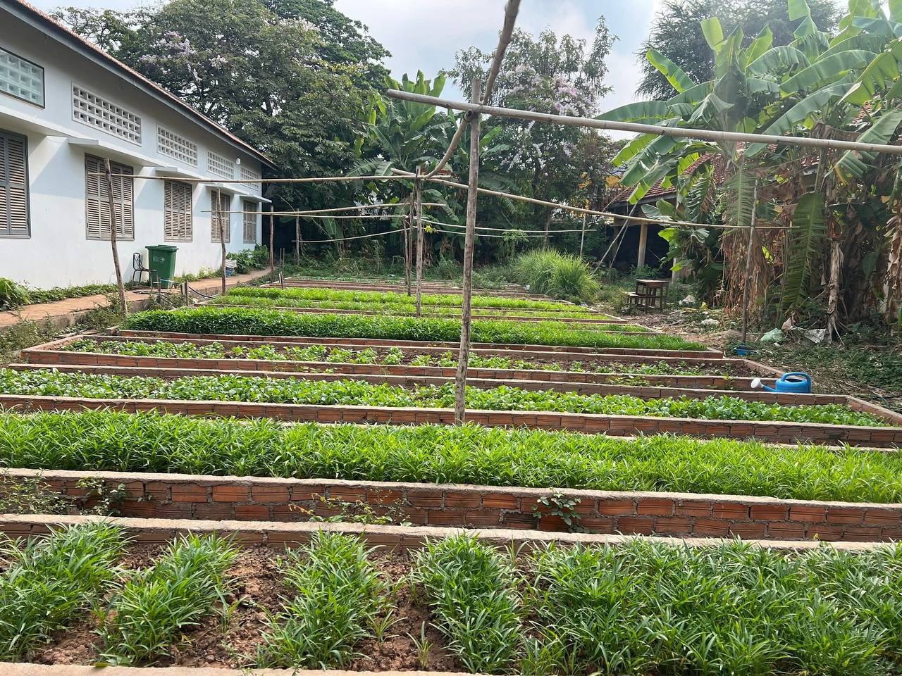 សួនដំណាំសិស្ស